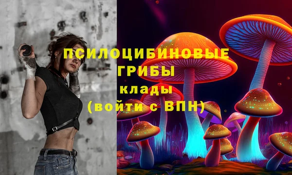 ешки Алексеевка