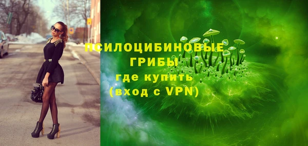 ешки Алексеевка
