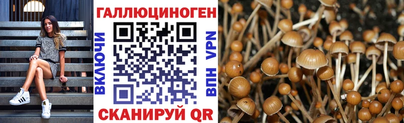Псилоцибиновые грибы Psilocybine cubensis  Нарьян-Мар 